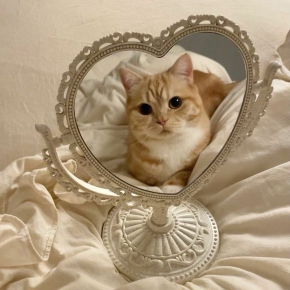 Meet your Posher, Yenely - Picture 1 of 1